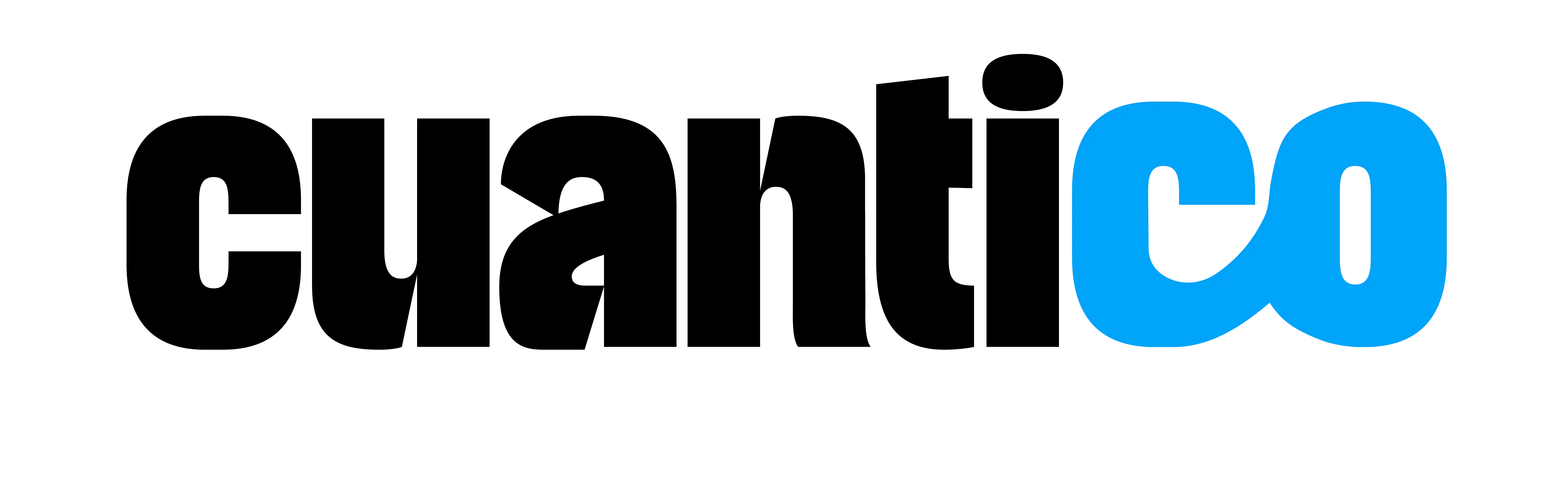 Flat Logo